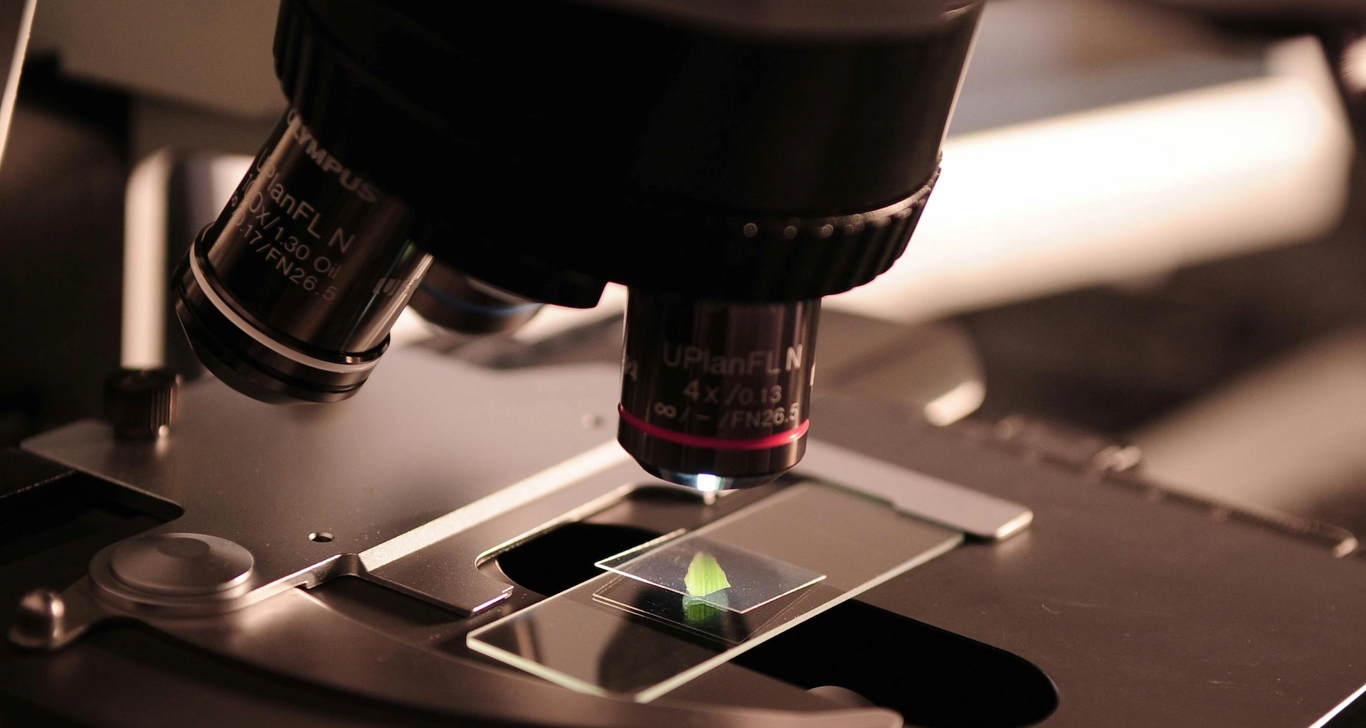 How Meridian Health put production-grade AI into the workflow — and kept it there.